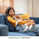 体验7981.com万豪娱乐的精彩活动,赢取丰厚奖励与奖金 3gpeq5v0