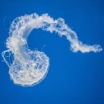 优万体育:打造全新体育体验的领先平台 szgke